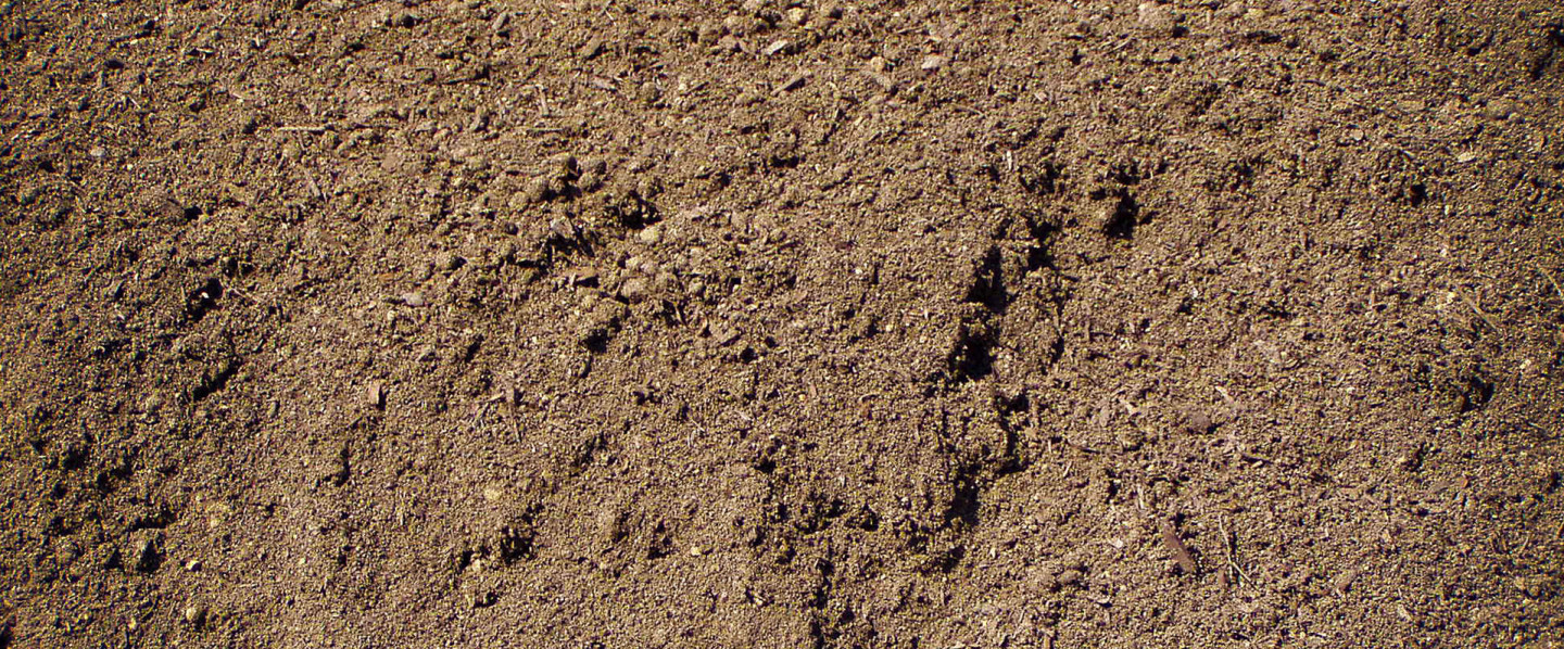 Top-Notch Soil You Won't Find Anywhere Else 
