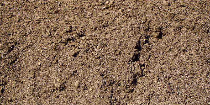 Land Leveling Contractor in Murfreesboro, Tennessee